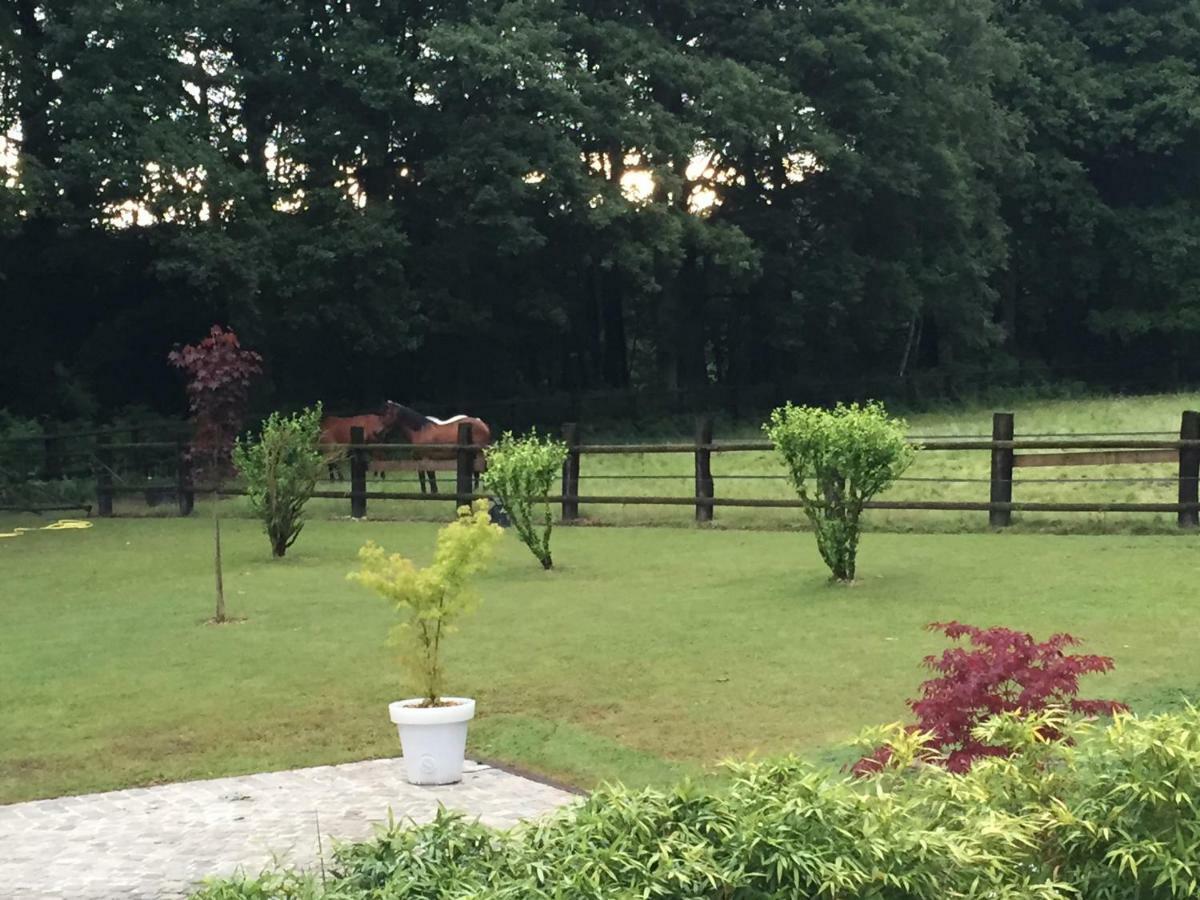 Domaine Des Bruyeres Bed & Breakfast Sains-en-Amienois Bagian luar foto